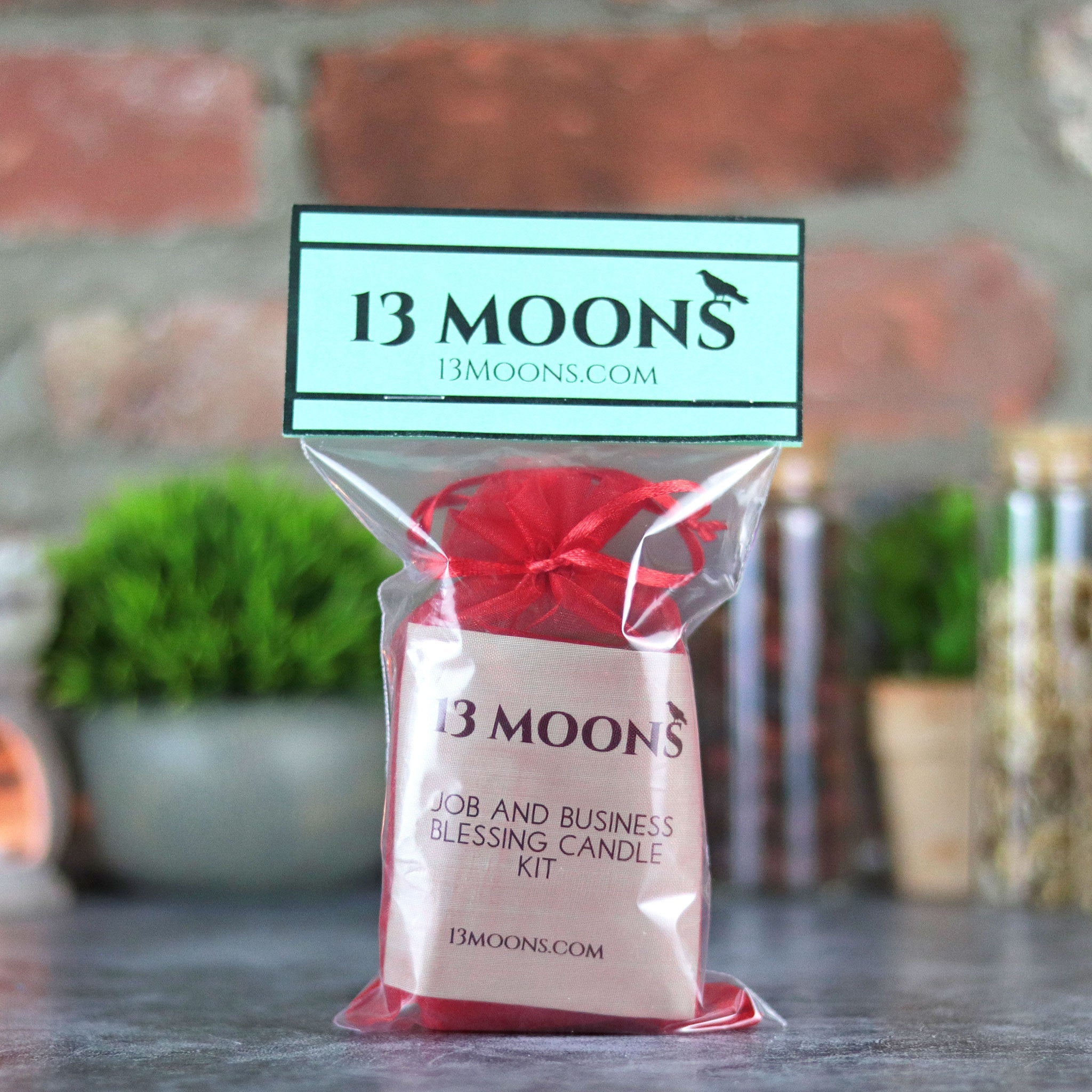Job and Business Blessing Candle Kit - 13 Moons
