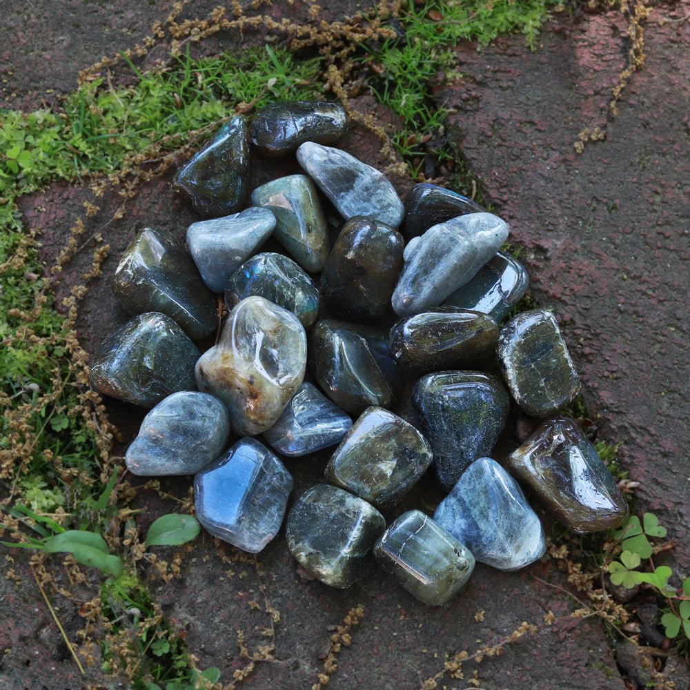 Labradorite Tumbled Stone - 13 Moons