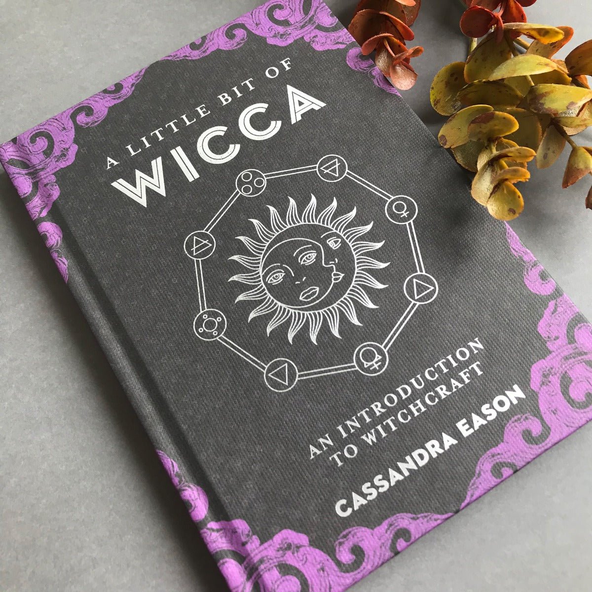 Little Bit of Wicca - 13 Moons