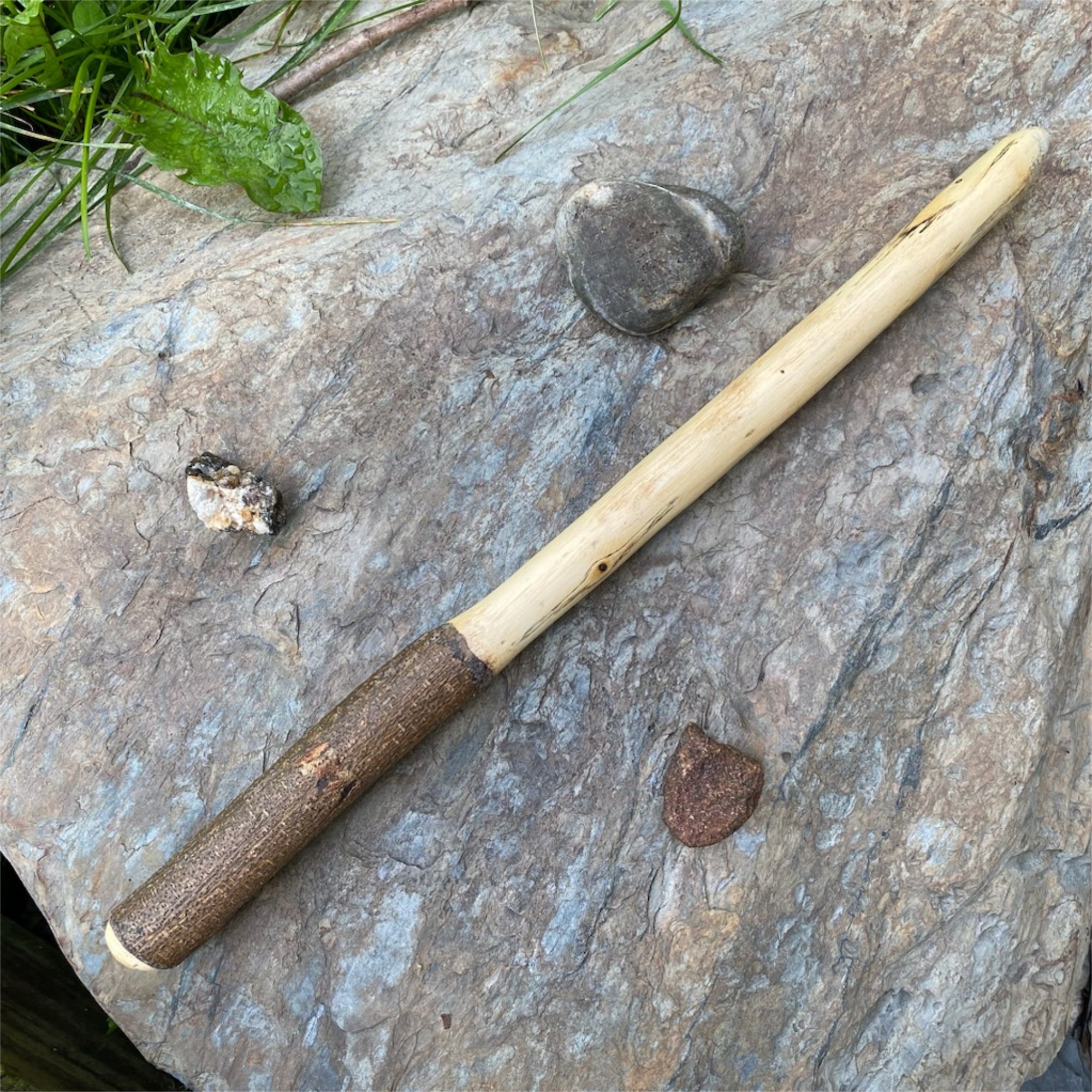 Locust Wand 16 inches - 13 Moons