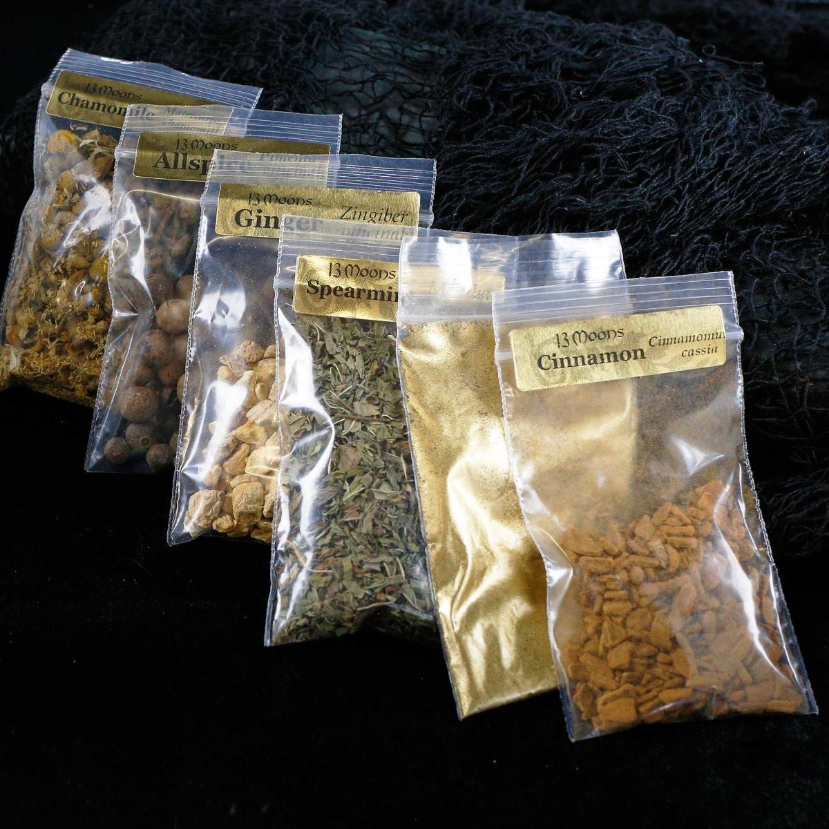 Money Spell Bottle Craft Kit - 13 Moons