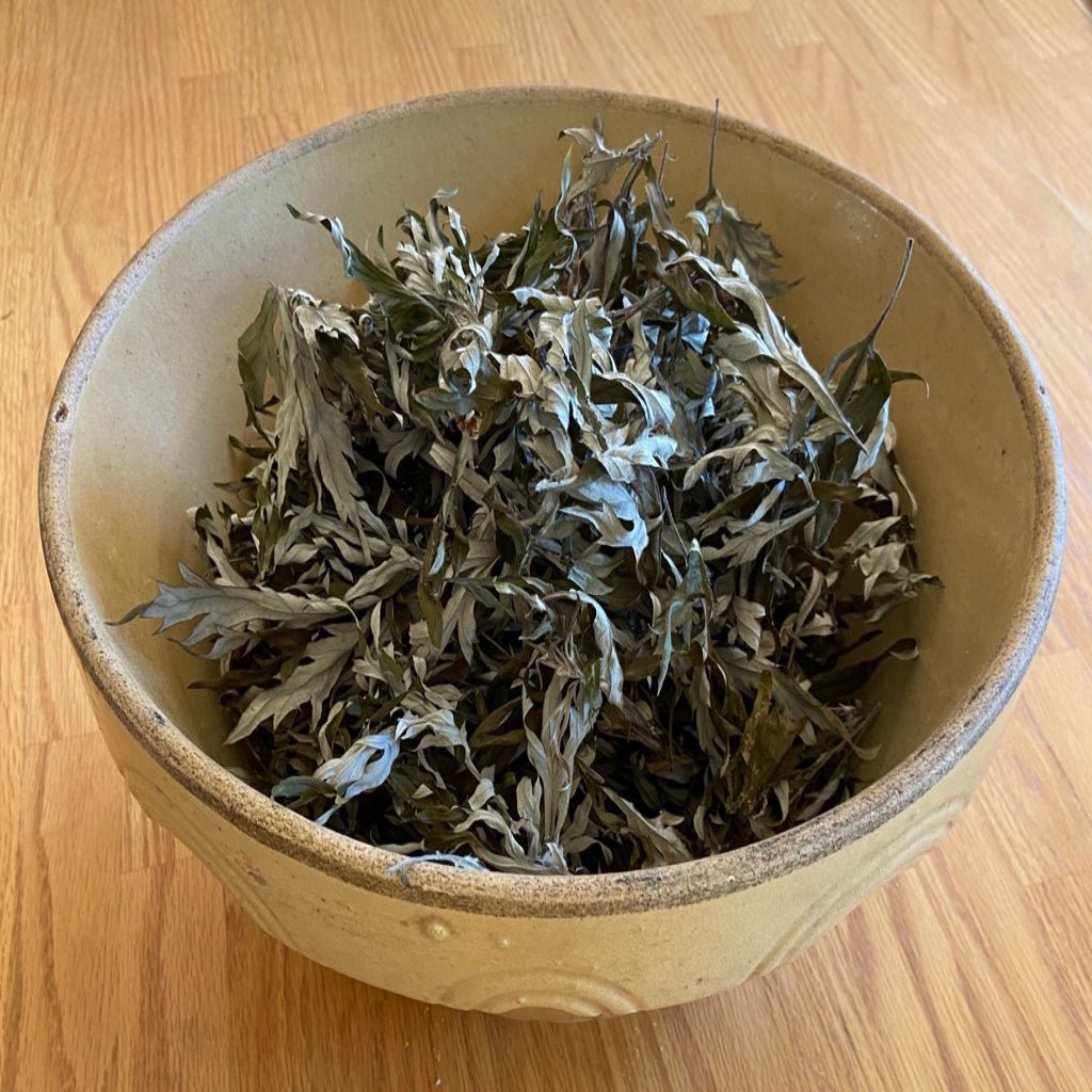 Mugwort Leaves Wildcrafted - 13 Moons