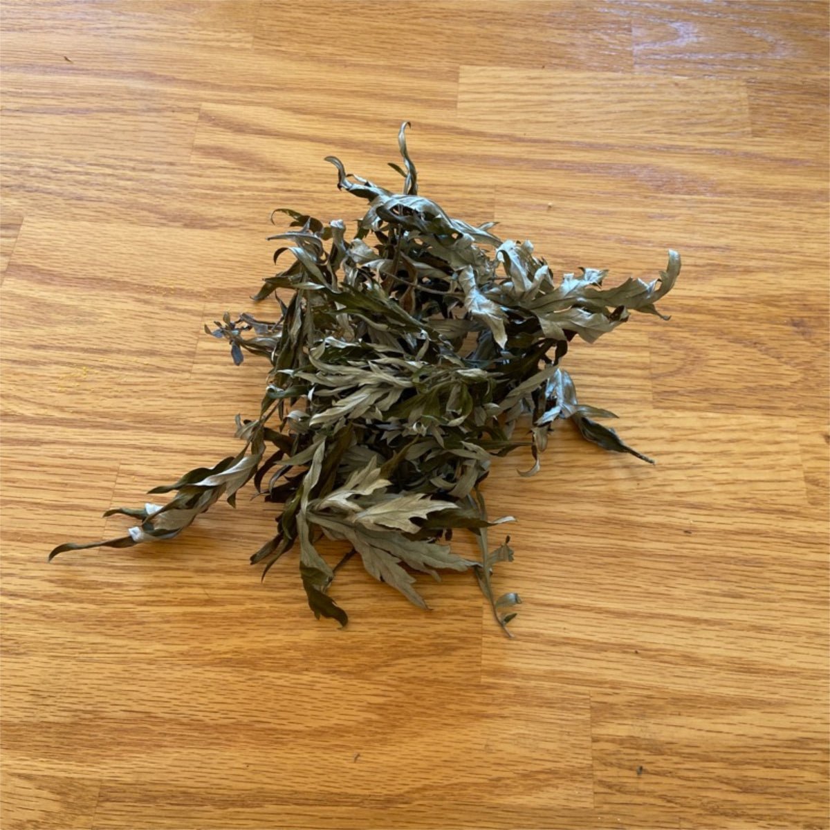 Mugwort Leaves Wildcrafted - 13 Moons