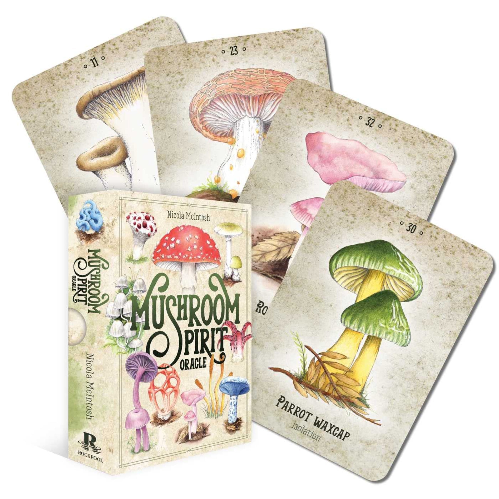 Mushroom Spirit Oracle - 13 Moons