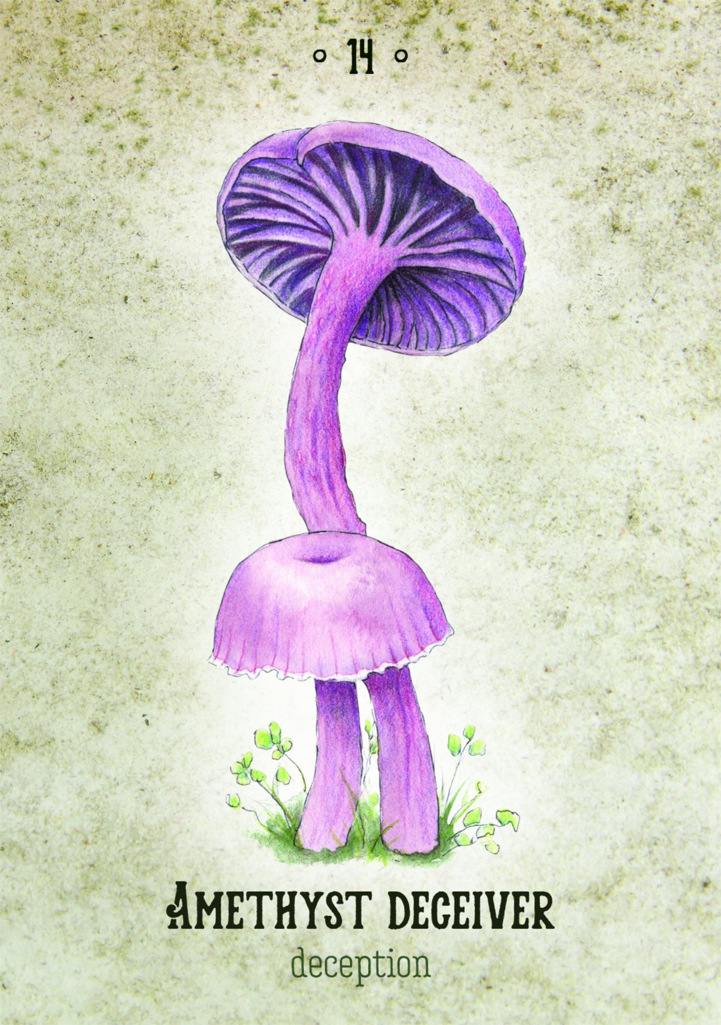 Mushroom Spirit Oracle - 13 Moons