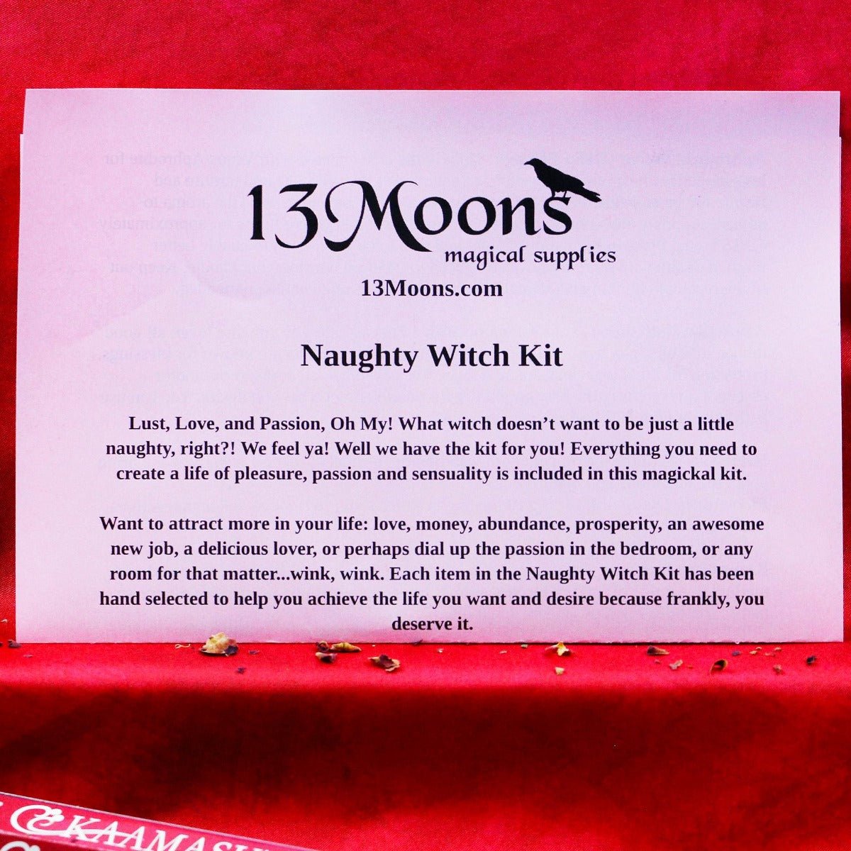 Naughty Witch Kit - 13 Moons