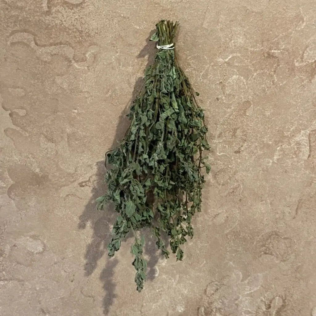 Oregano Bundle - Organic - 13 Moons