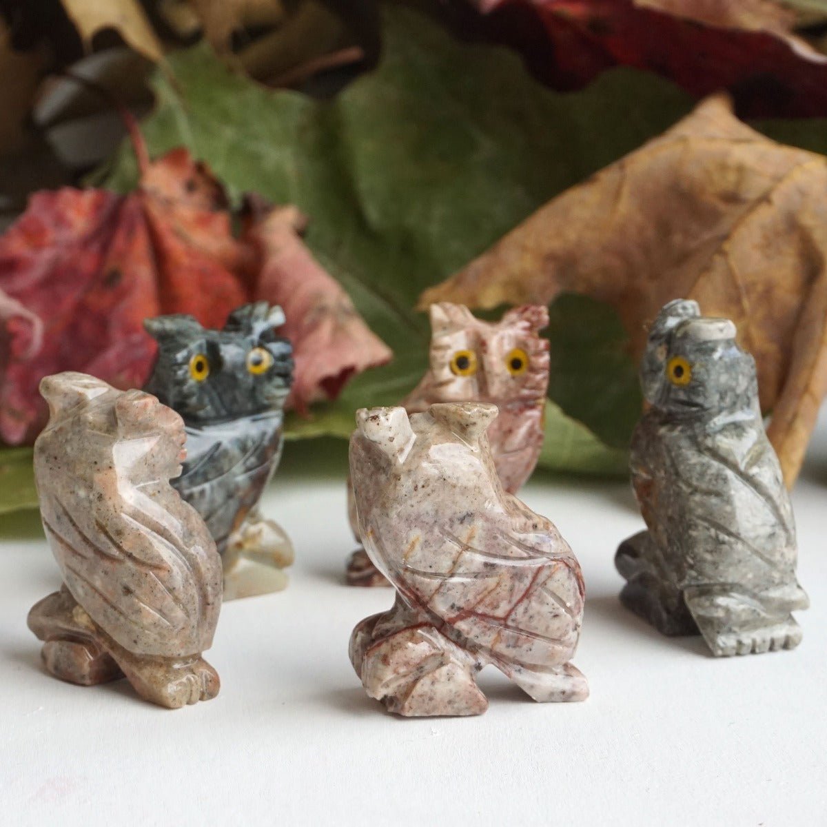 Owl Spirit Animal - 13 Moons