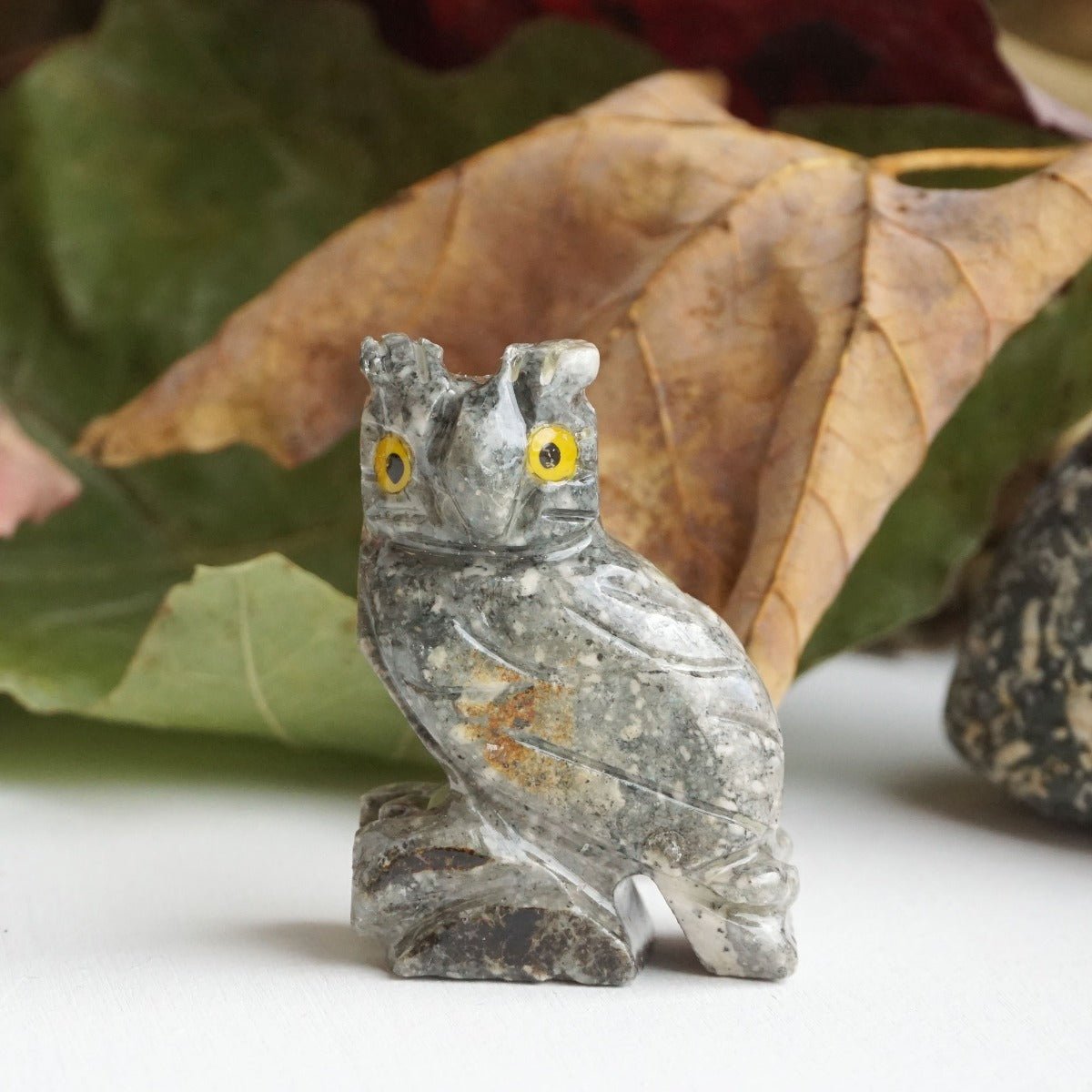 Owl Spirit Animal - 13 Moons