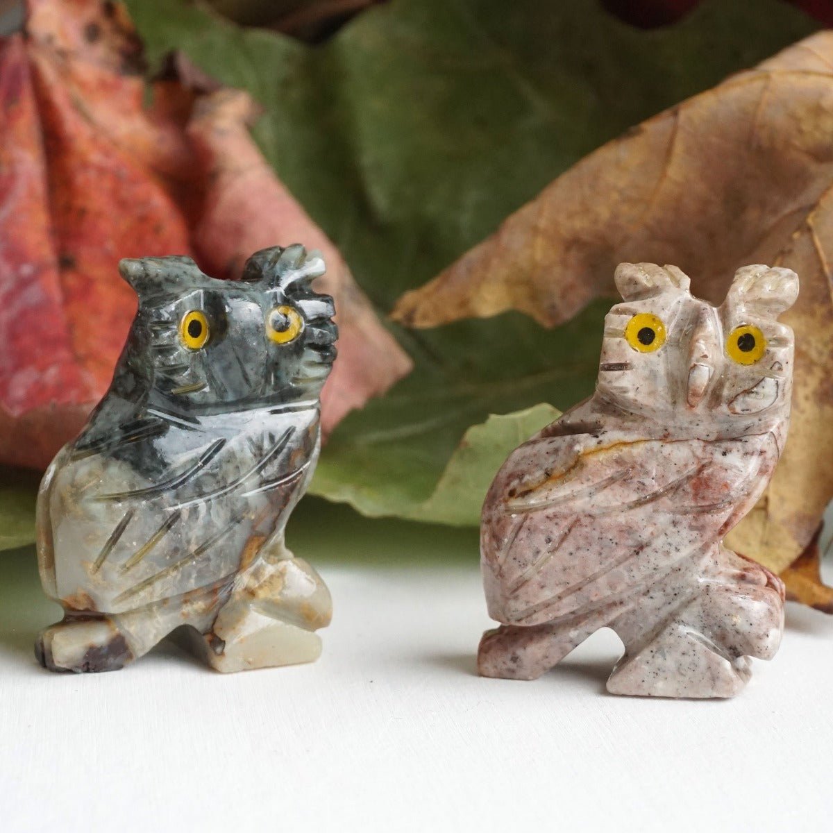 Owl Spirit Animal - 13 Moons
