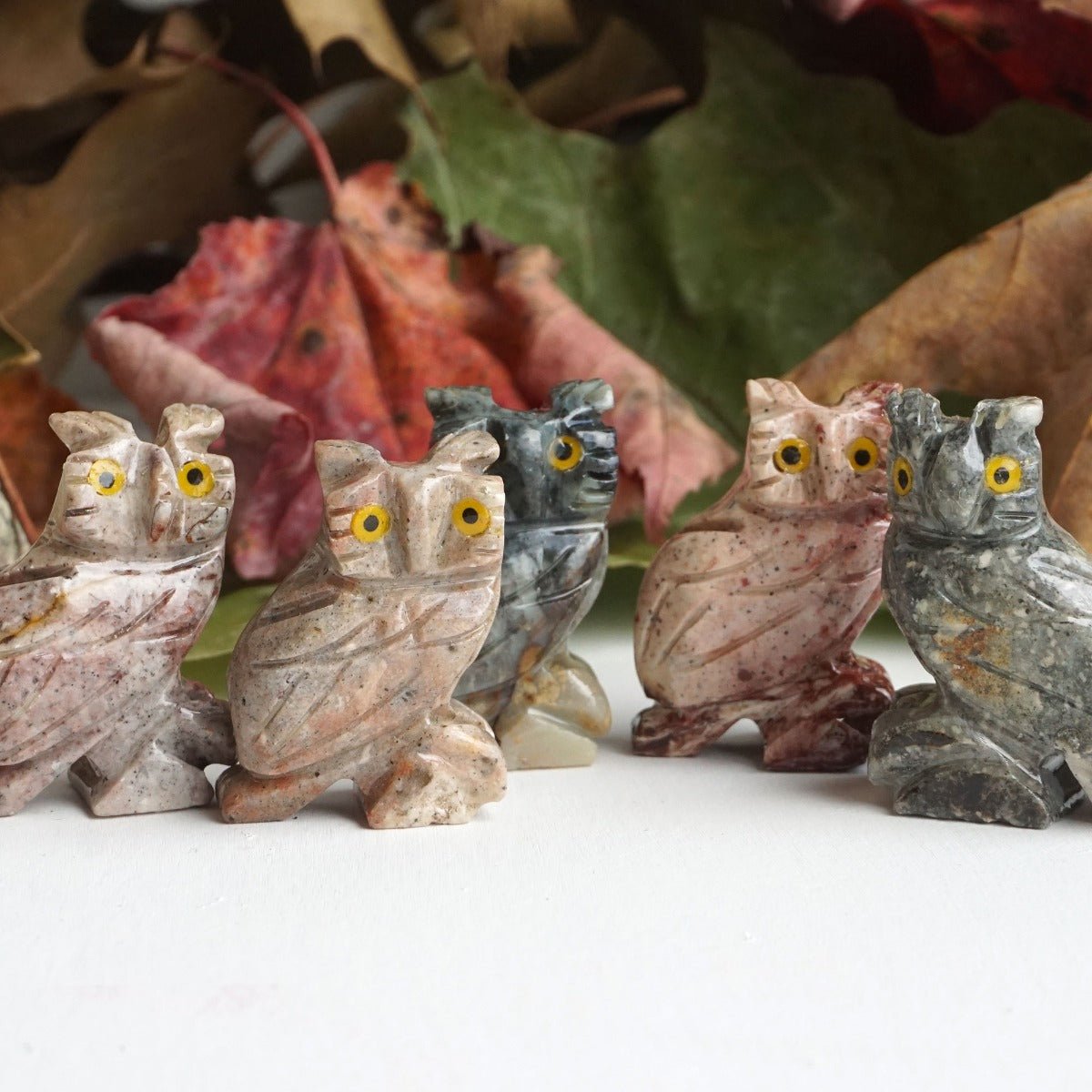 Owl Spirit Animal - 13 Moons
