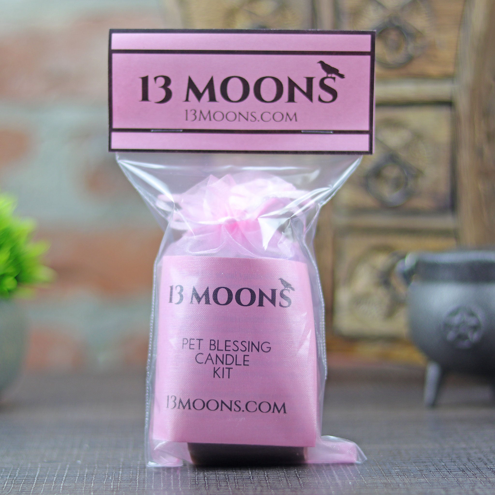 Pet Blessing Candle Kit - 13 Moons