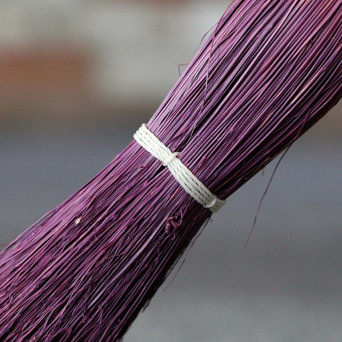 Purple Broom – Medium, Limited Supply - 13 Moons