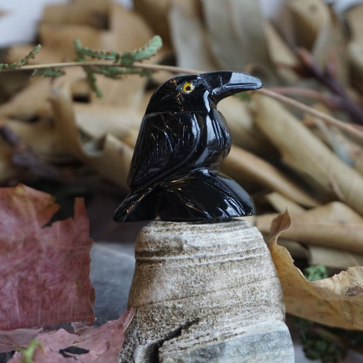 Raven Spirit Animal Small - 13 Moons