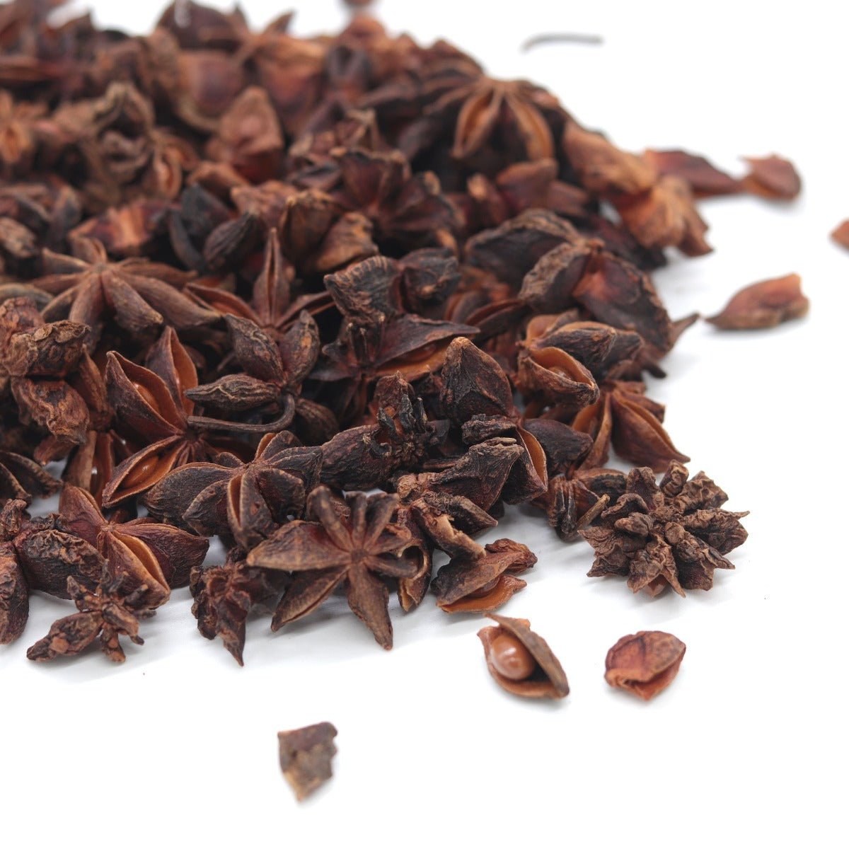 Star Anise - 13 Moons