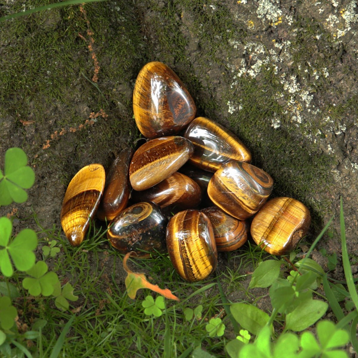 Tigers Eye, Gold Tumbled - 13 Moons