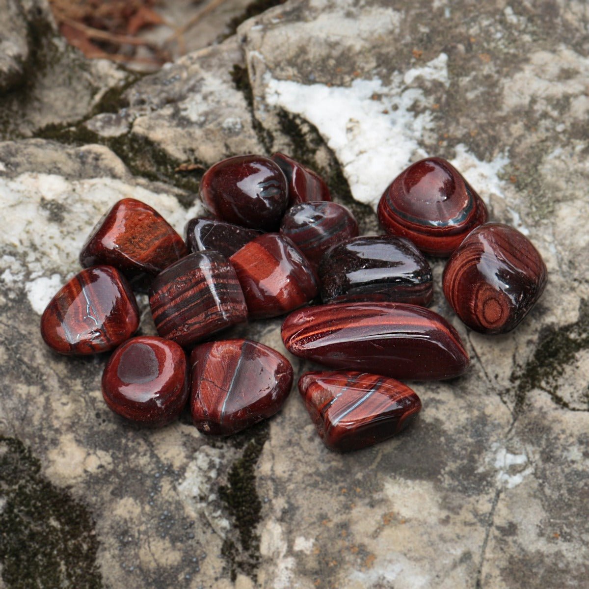 Tigers Eye, Red Tumbled - 13 Moons