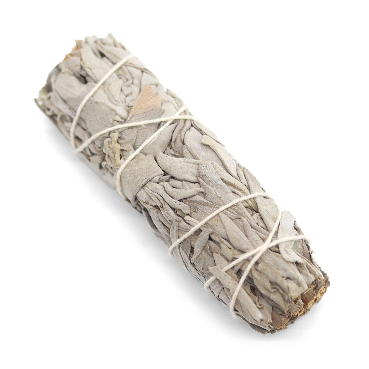 White Sage Smudge Stick, Baby - 13 Moons