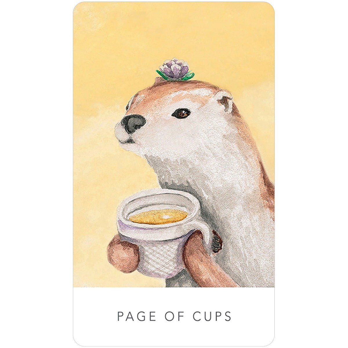 White Sage Tarot - 13 Moons