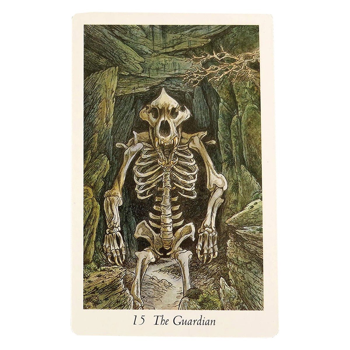 Wildwood Tarot and Book Set - 13 Moons