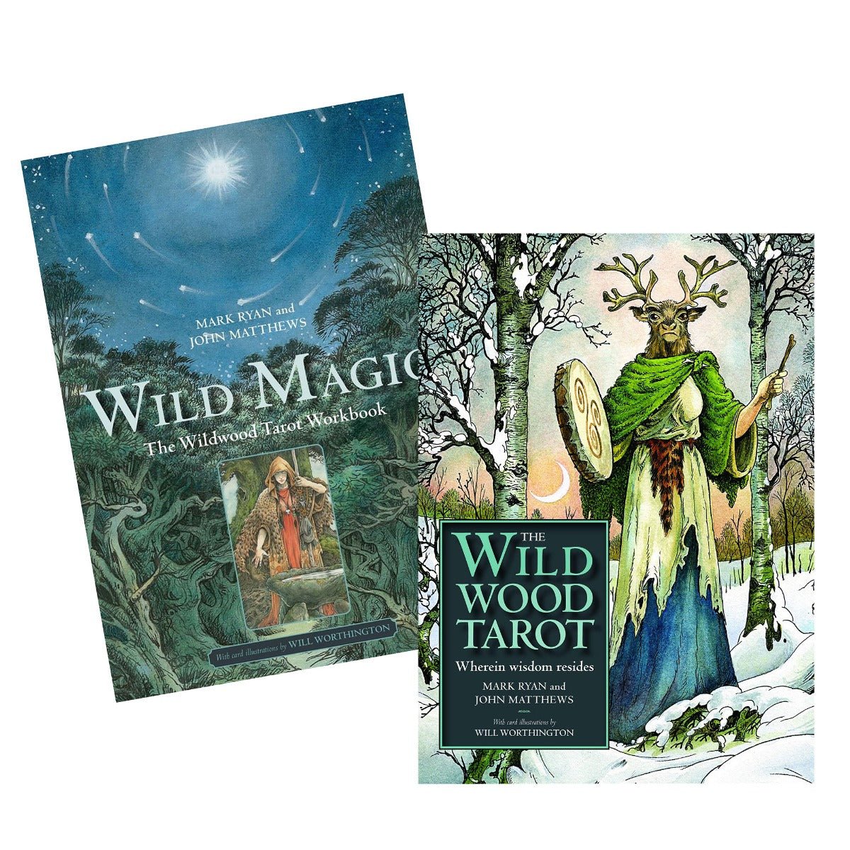 Wildwood Tarot and Book Set - 13 Moons