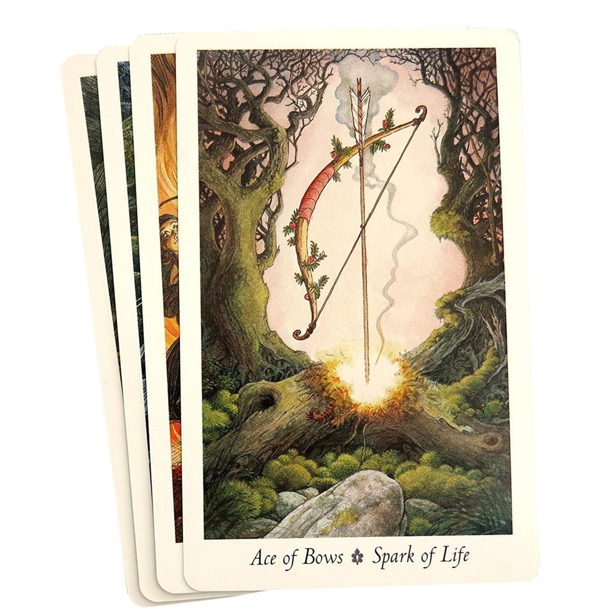 Wildwood Tarot and Book Set - 13 Moons