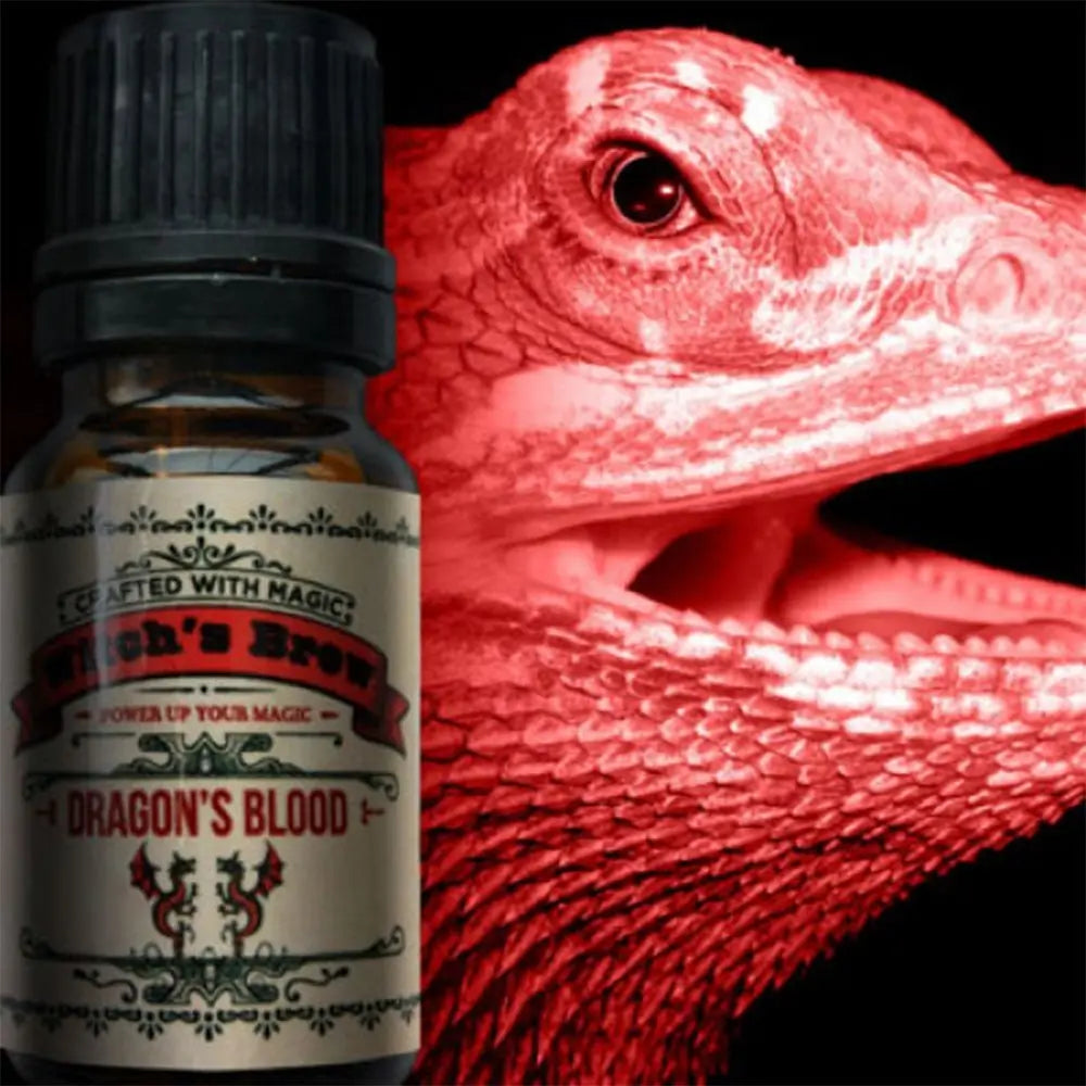 Witchs Brew Dragons Blood Oil - 13 Moons